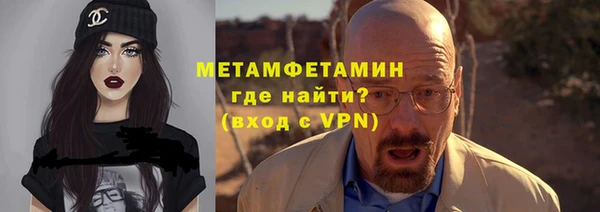 индика Верхний Тагил